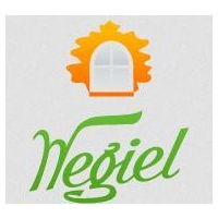 Węgiel